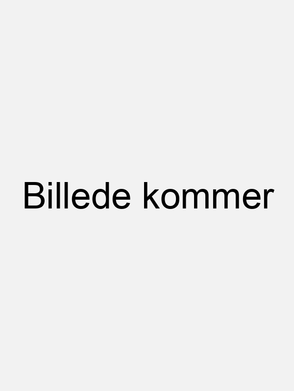 Tilbehør
